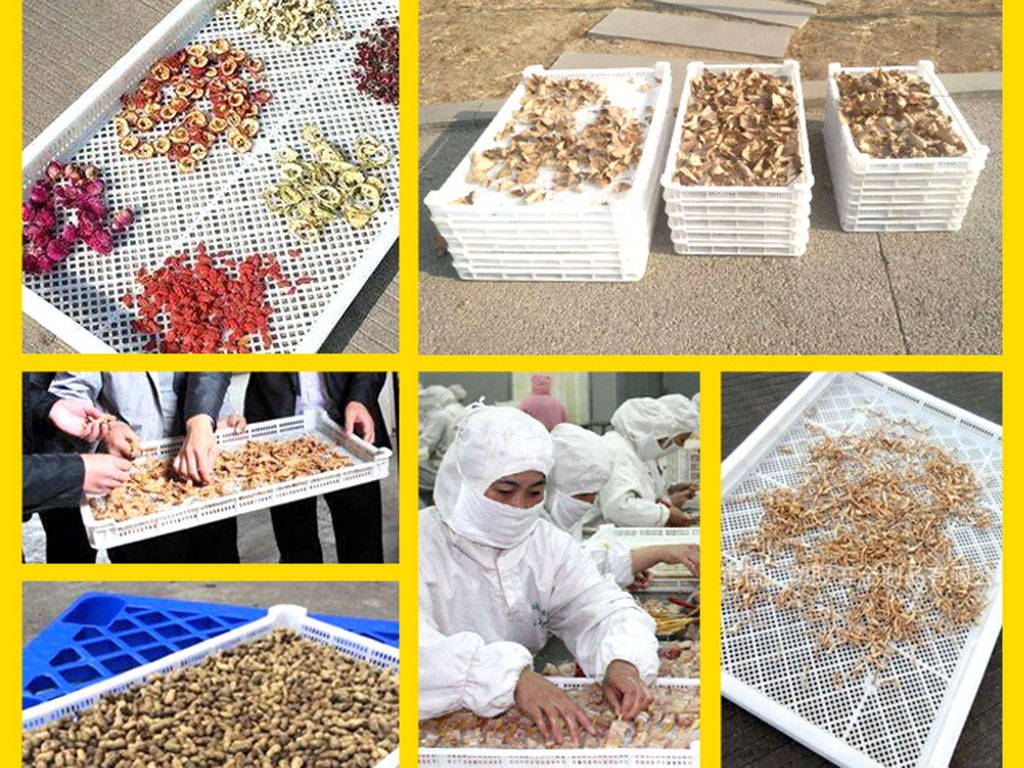 drying-trays industry use 1